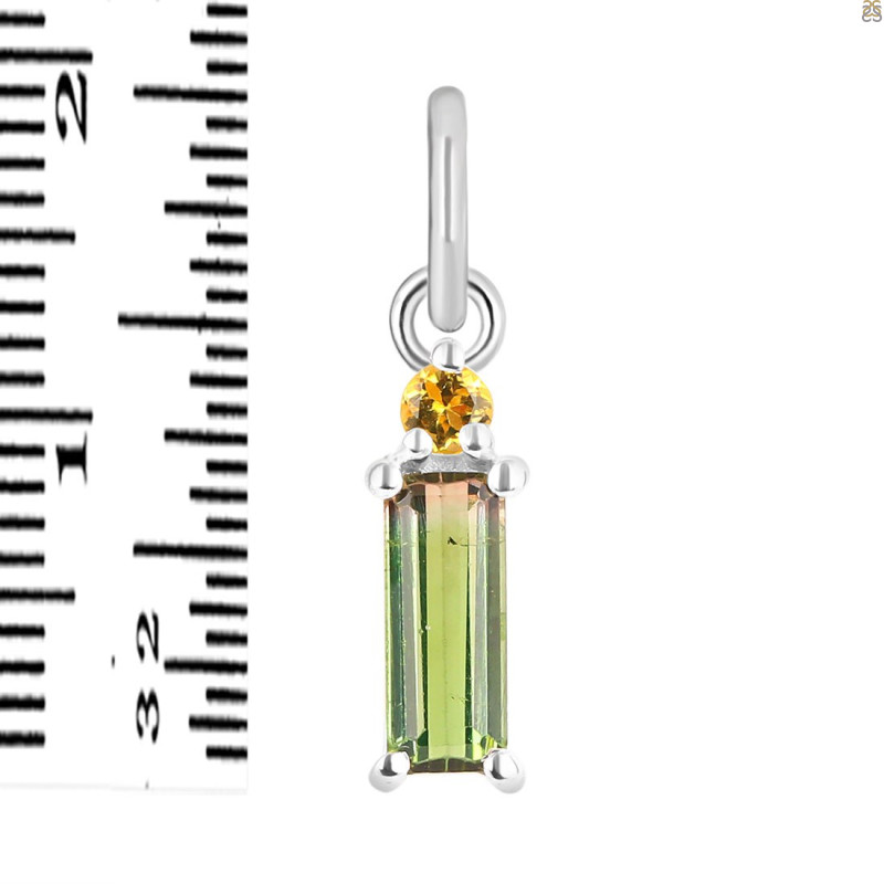 Tourmaline Pendant-2SP TRM-1-817