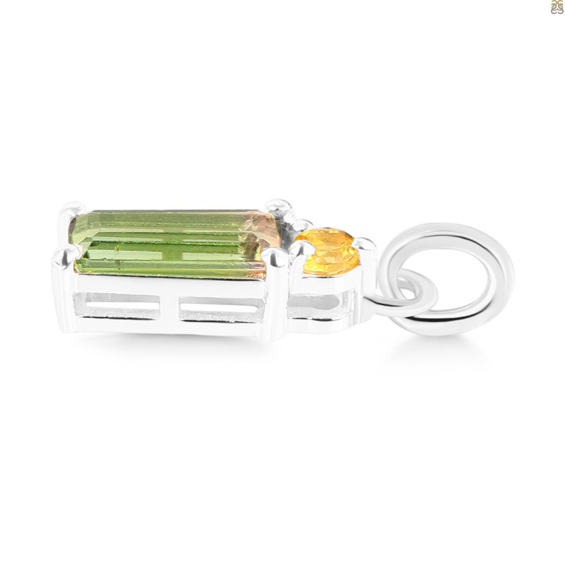 Tourmaline Pendant-2SP TRM-1-817