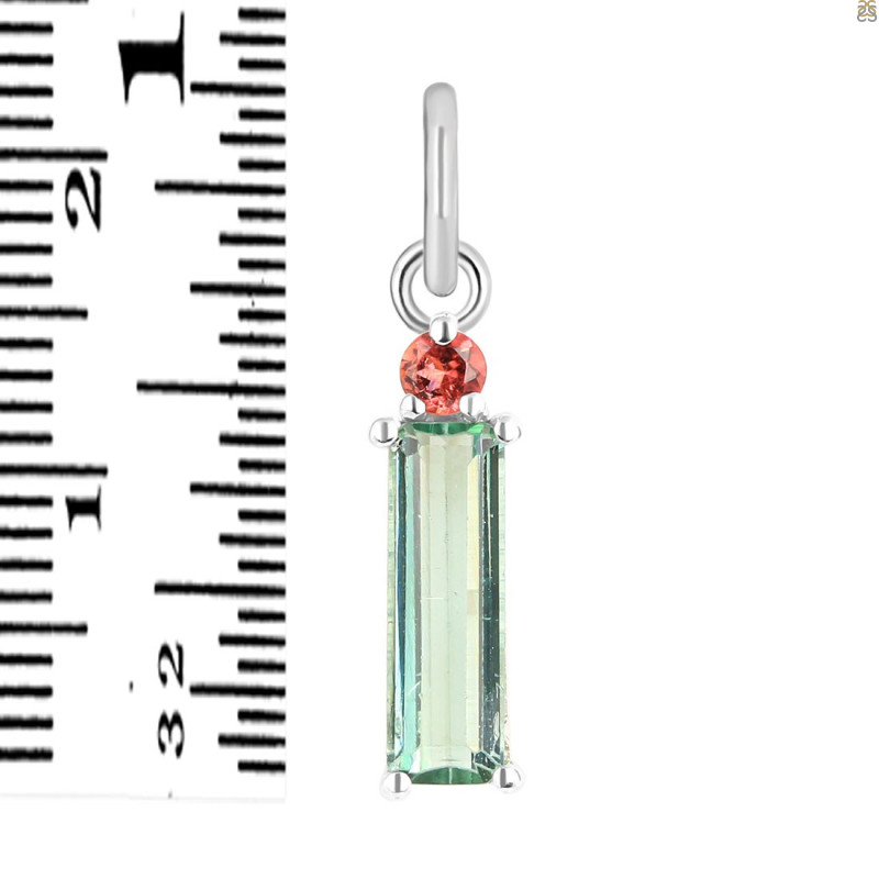 Tourmaline Pendant-2SP TRM-1-820