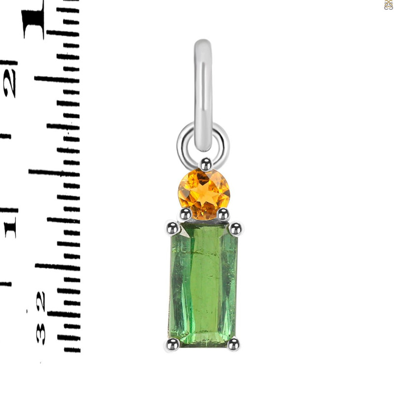 Tourmaline Pendant-2SP TRM-1-831
