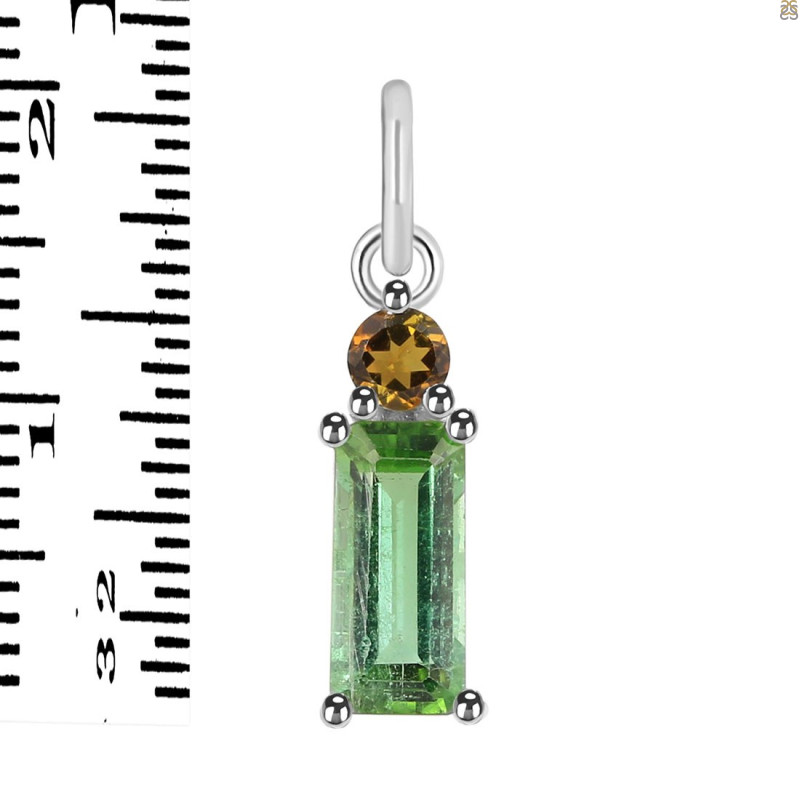 Tourmaline Pendant-2SP TRM-1-895