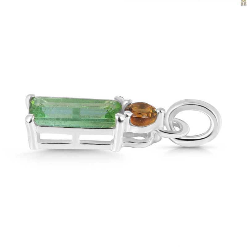 Tourmaline Pendant-2SP TRM-1-895