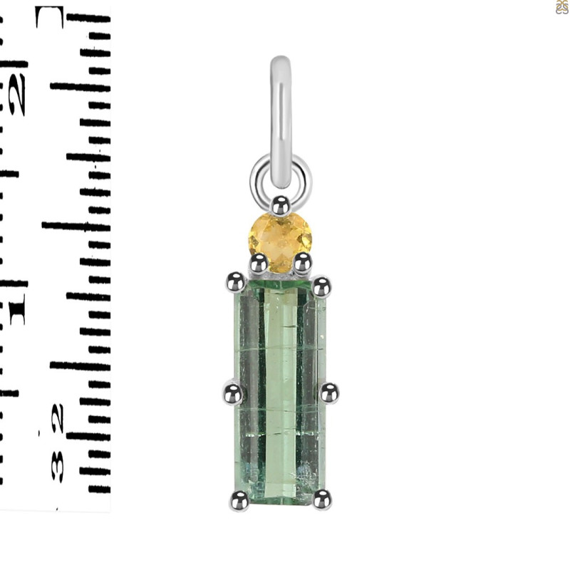 Tourmaline Pendant-2SP TRM-1-896
