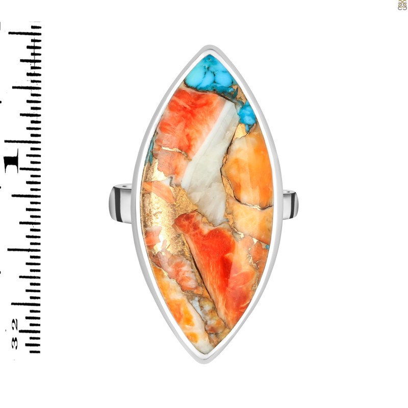 Spiny Oyster Turquoise-Adjustable Ring-ADJ-R TRO-2-246