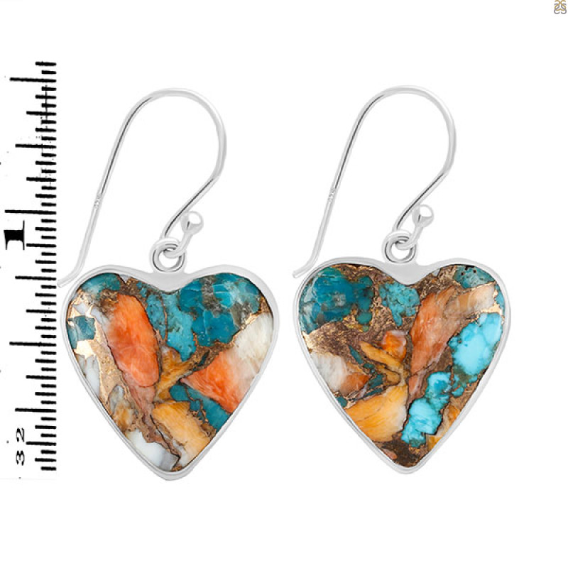 Spiny Oyster Turquoise Earring-E TRO-3-11