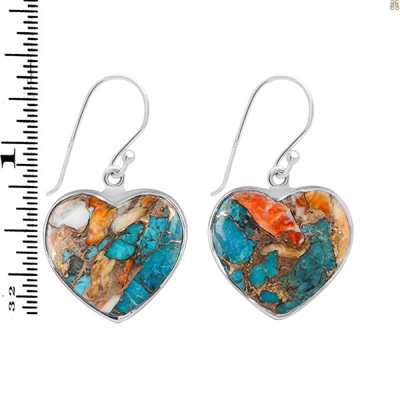 Spiny Oyster Turquoise Earring-E TRO-3-19