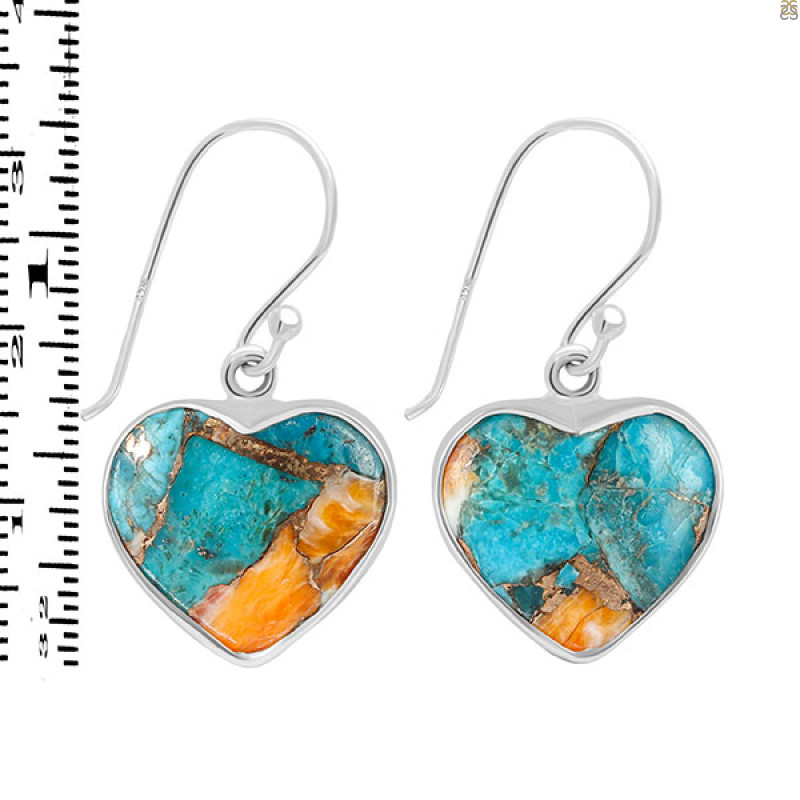 Spiny Oyster Turquoise Earring-E TRO-3-27