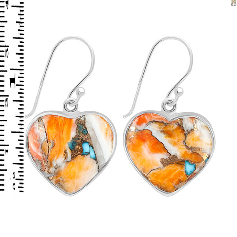 Spiny Oyster Turquoise Earring-E TRO-3-29