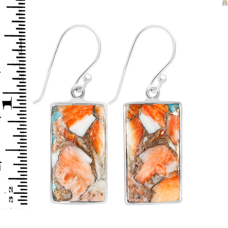 Spiny Oyster Turquoise Earring-E TRO-3-3