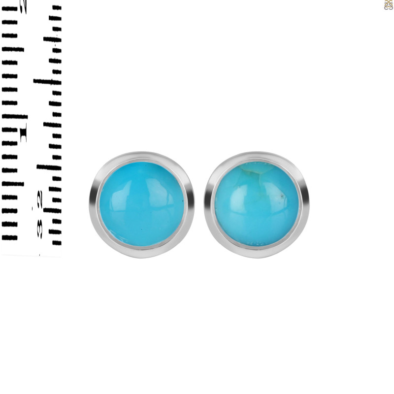 Turquoise Stud Earring TRQ-RDE-1073.