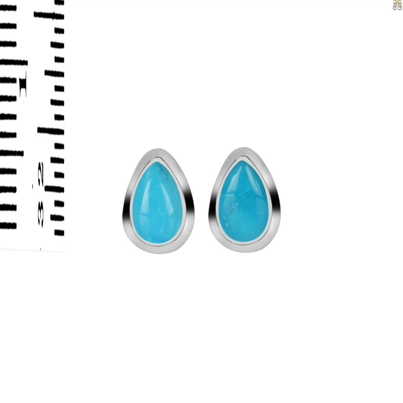 Turquoise Stud Earring TRQ-RDE-1106.
