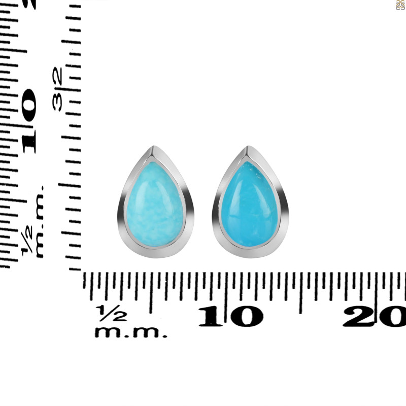 Turquoise Stud Earring TRQ-RDE-1111.
