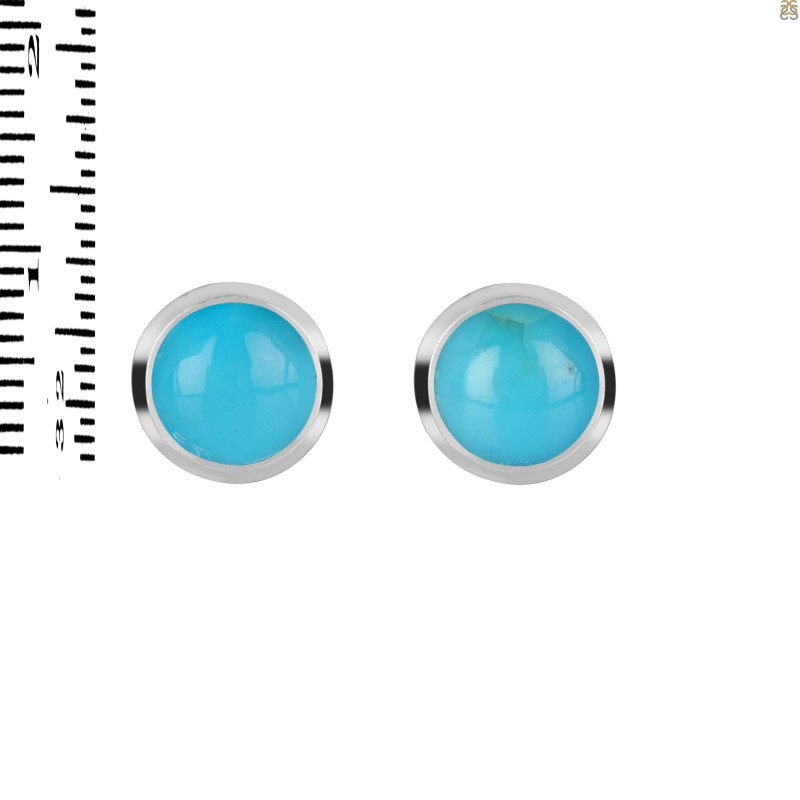 Turquoise Stud Earring TRQ-RDE-724.