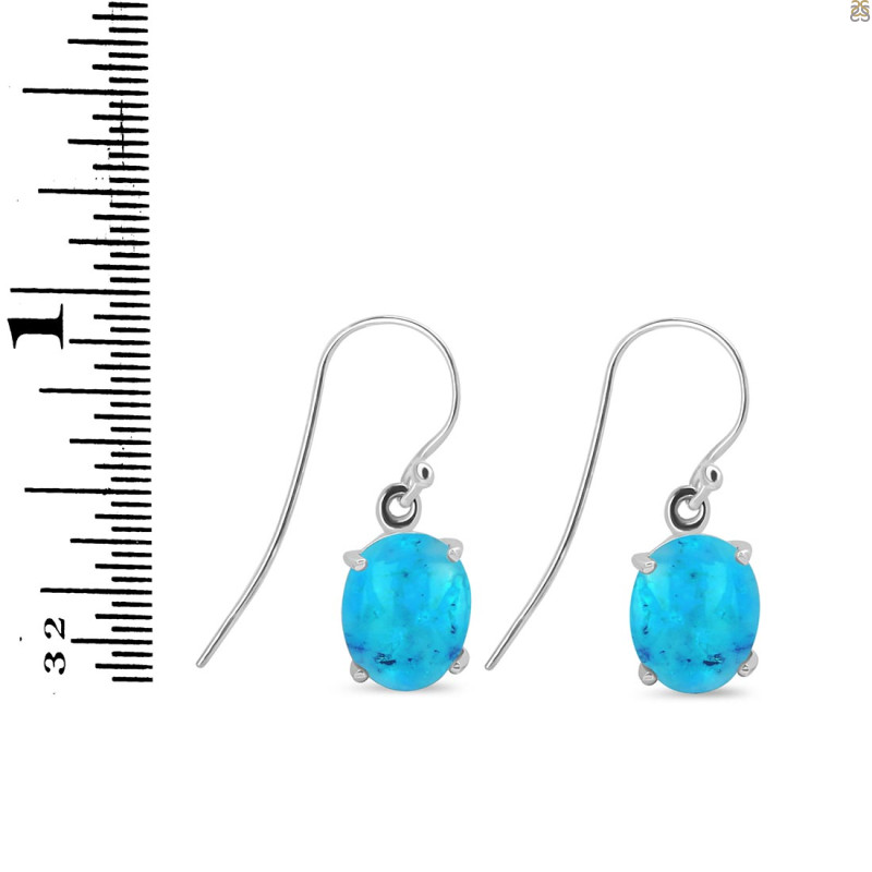 Turquoise Earring TRQ-RDE-896.
