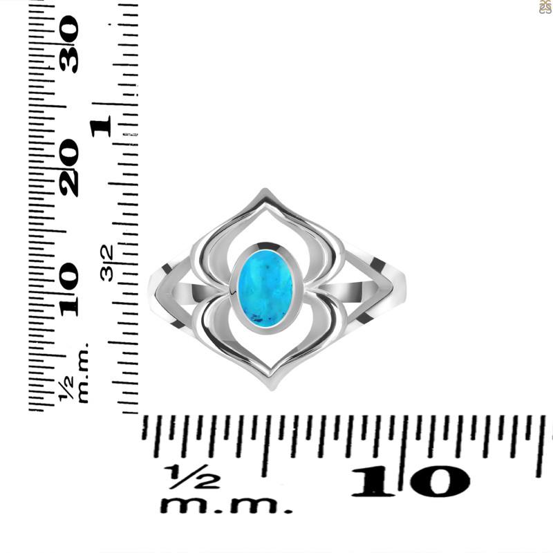 Turquoise Ring TRQ-RDR-168.