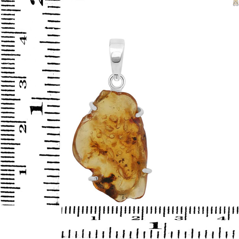 Amber Pendant-SP AMB-1-213
