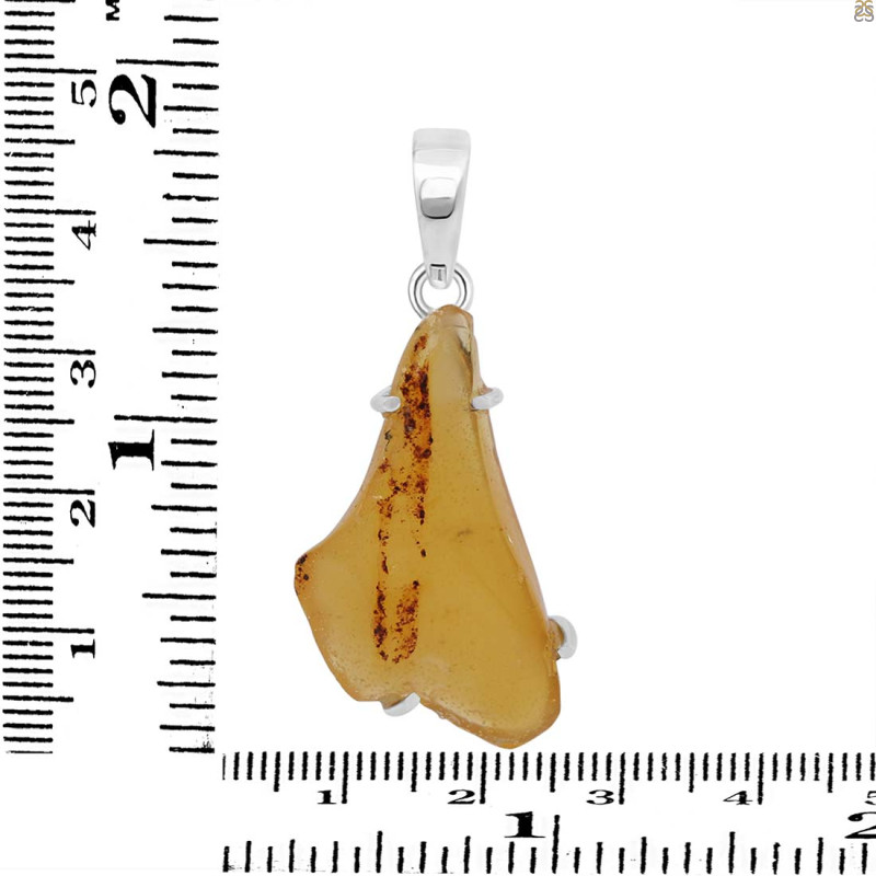 Amber Pendant-SP AMB-1-235