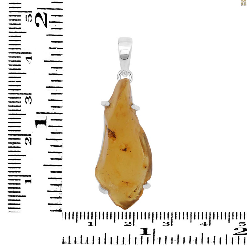 Amber Pendant-SP AMB-1-239