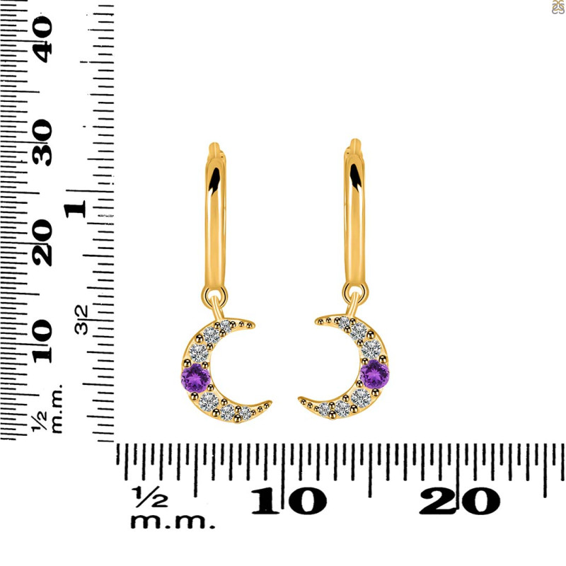 Amethyst & White Topaz Hoop Earring AMT-RDE-1471.