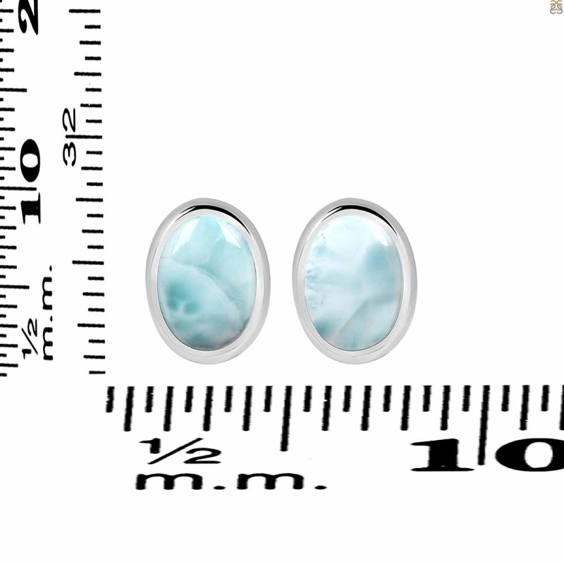 Close Out Larimar Earring LAR-CO-RDE-1113.