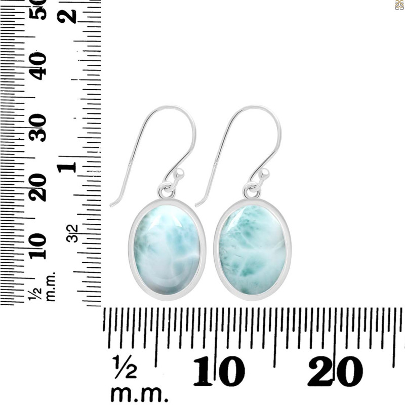 Close Out Larimar Earring LAR-CO-RDE-730.