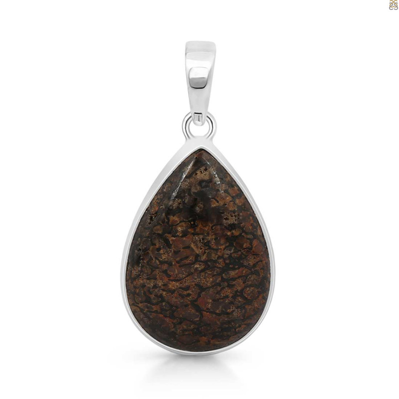 Dinosaur Bone Pendant-SP DSB-1-23