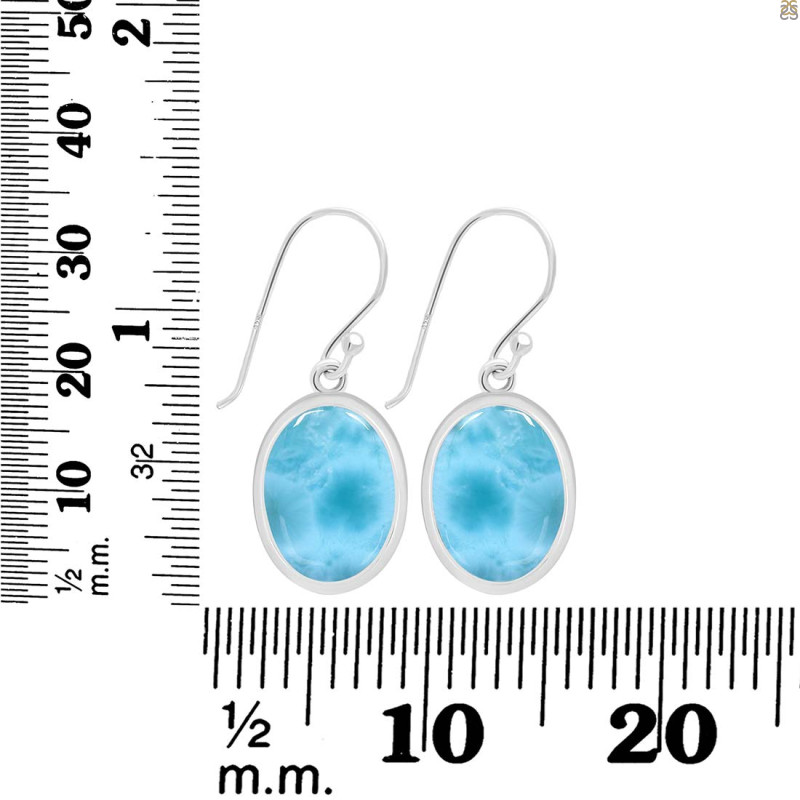 Larimar Earring LAR-RDE-730.