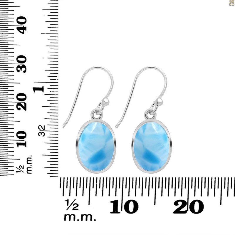 Larimar Earring LAR-RDE-830.