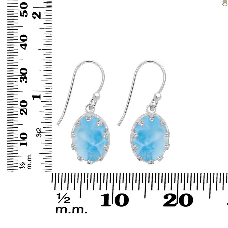 Larimar Earring LAR-RDE-833.