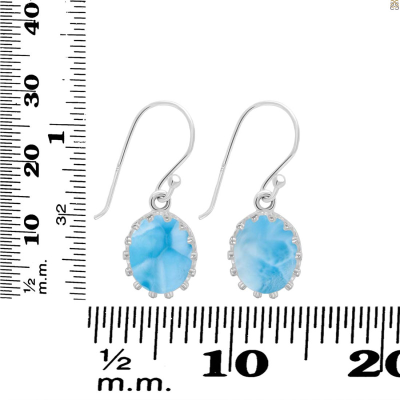 Larimar Earring LAR-RDE-843.