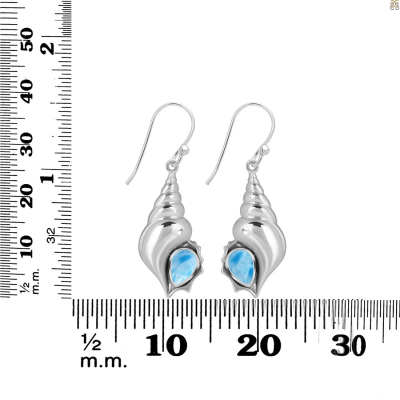 Larimar Shell Earring LAR-RUE-49.