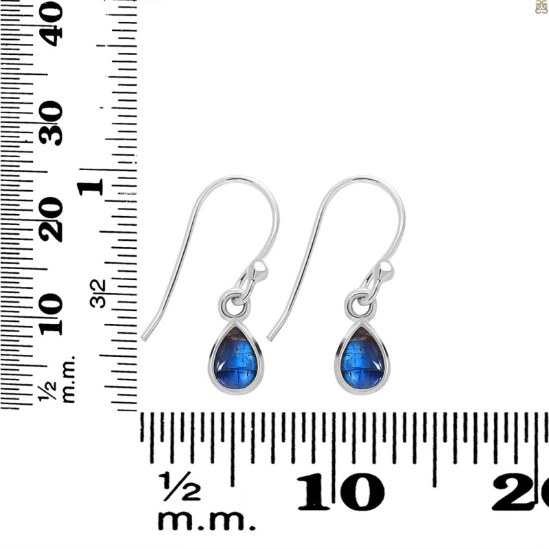 Labradorite Earring LBD-RDE-1109.