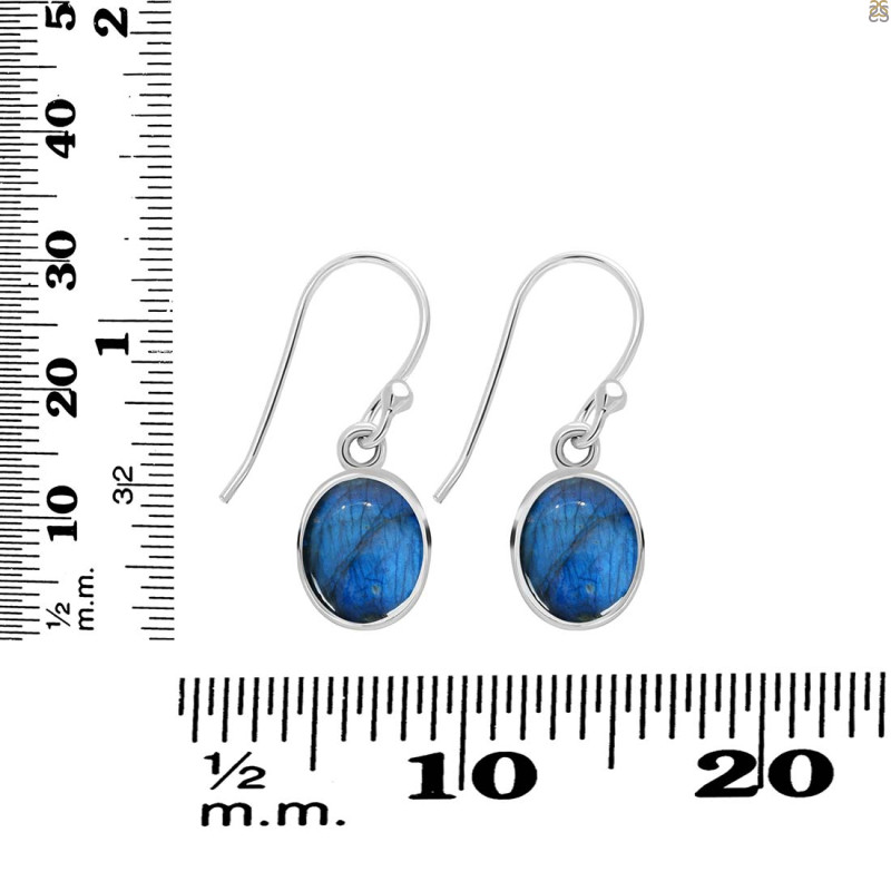 Labradorite Earring LBD-RDE-1131.