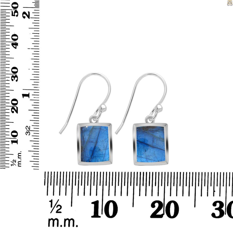 Labradorite Earring LBD-RDE-1136.