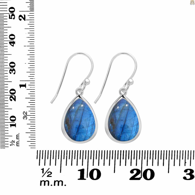 Labradorite Earring LBD-RDE-1159.