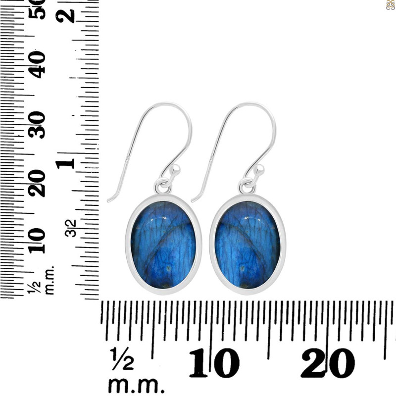 Labradorite Earring LBD-RDE-730.