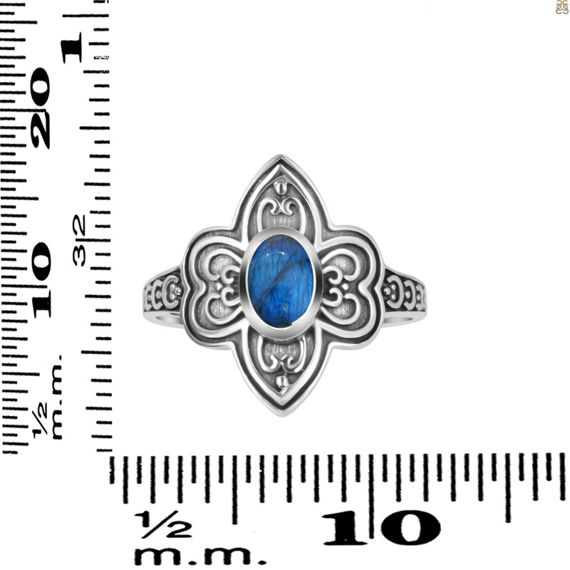 Labradorite Ring LBD-RDR-1309.