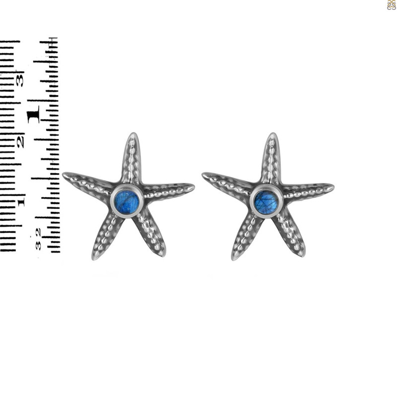 Labradorite Star Fish Stud Earring LBD-RUE-2.