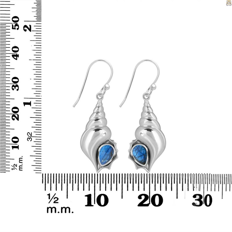 Labradorite Shell Earring LBD-RUE-49.