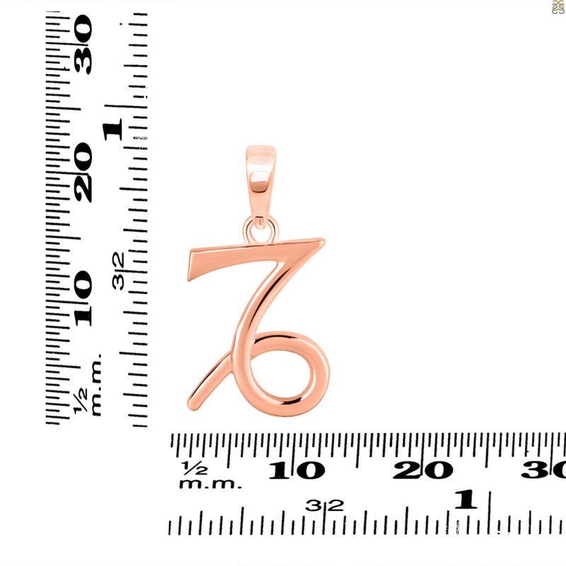 Capricorn Zodiac Pendant PS-RDC-17