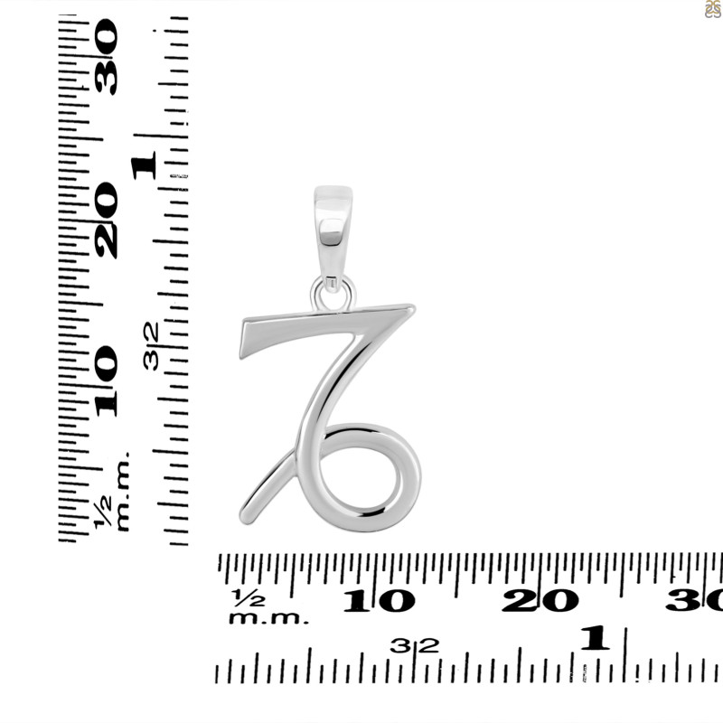 Capricorn Zodiac Pendant PS-RDC-17