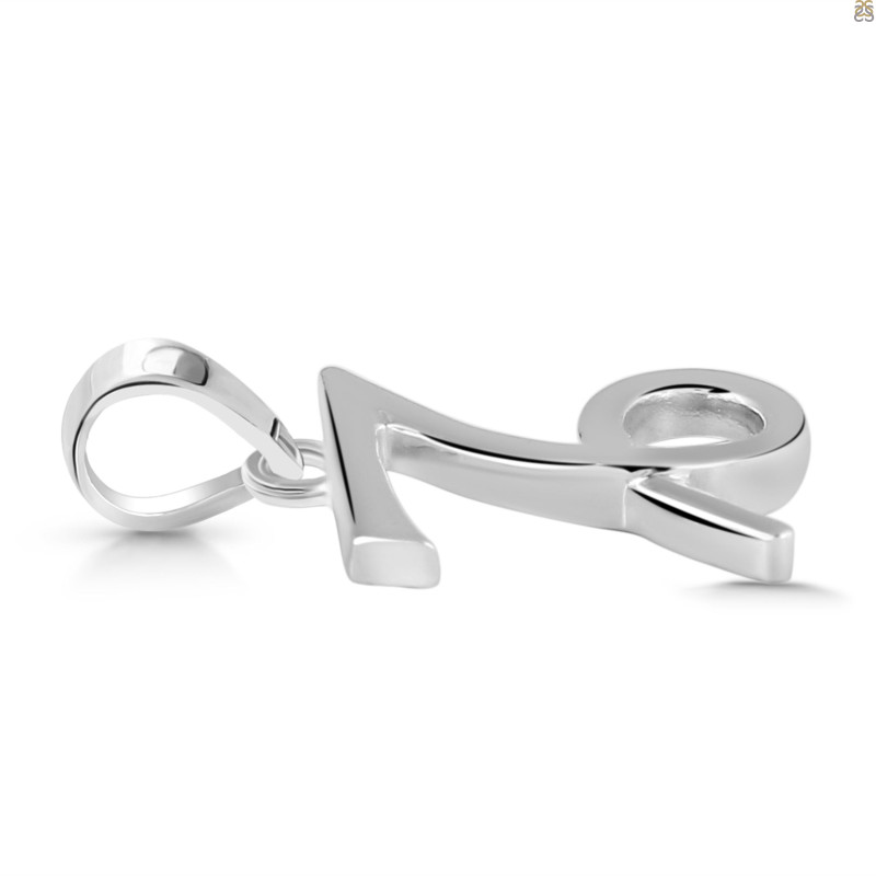 Capricorn Zodiac Pendant