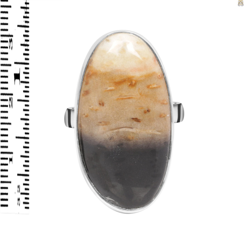 Plumroot Agate Adjustable Ring-ADJ-R PTJ-2-27
