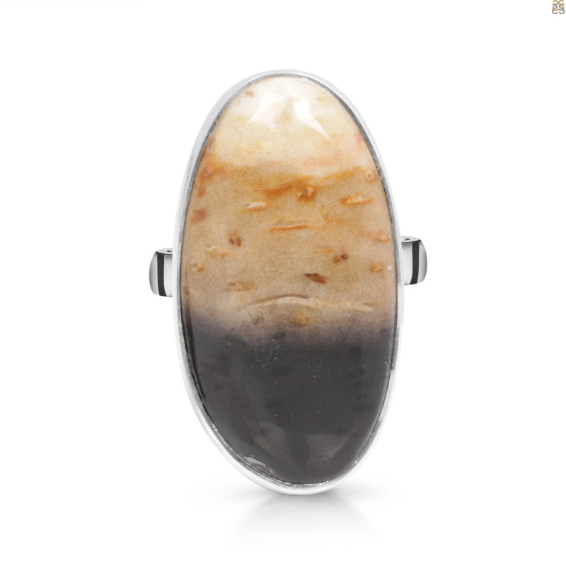 Plumroot Agate Adjustable Ring-ADJ-R PTJ-2-27