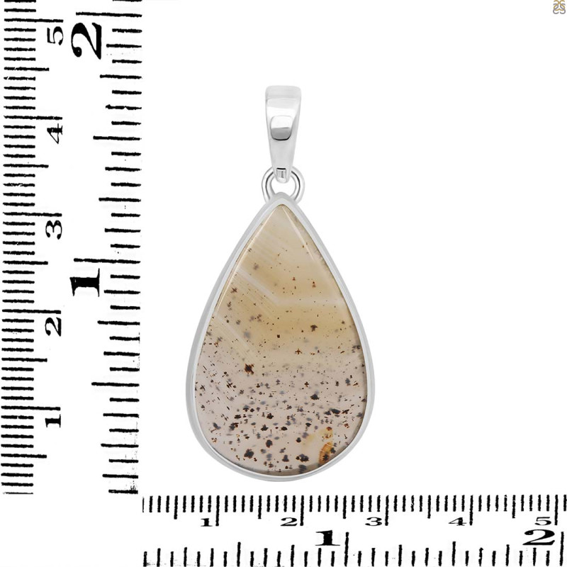 Scenic Agate Pendant-SP SCA-1-48