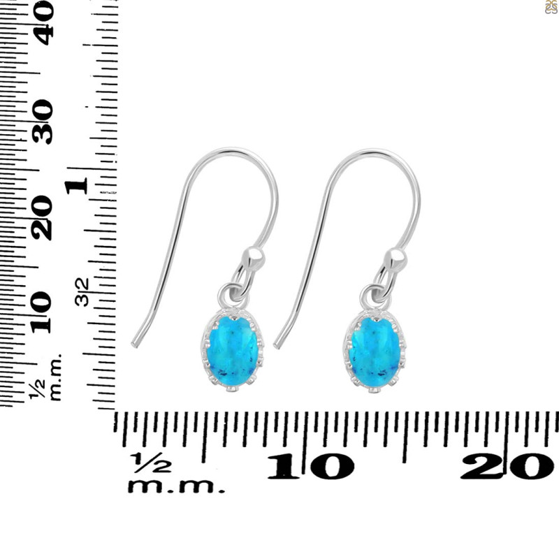 Turquoise Earring TRQ-RDE-1009.