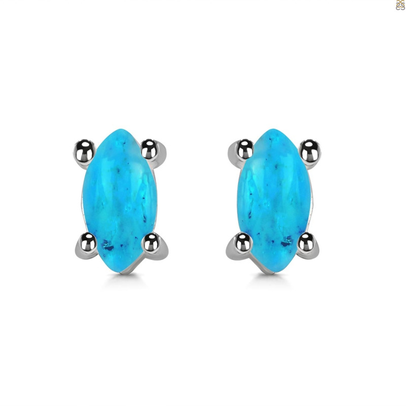 Turquoise Stud Earring TRQ-RDE-1115.