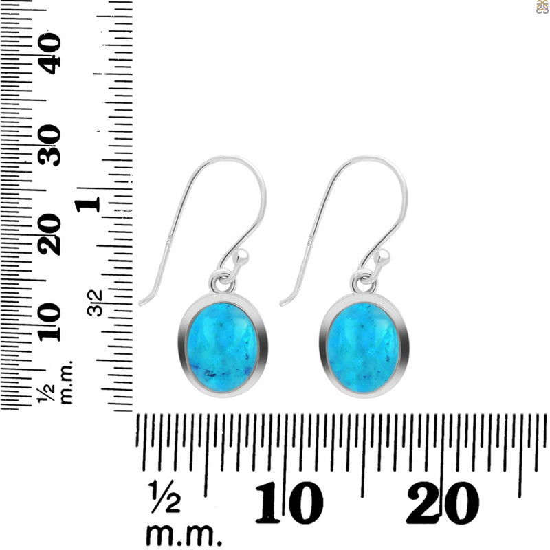 Turquoise Earring TRQ-RDE-1116.