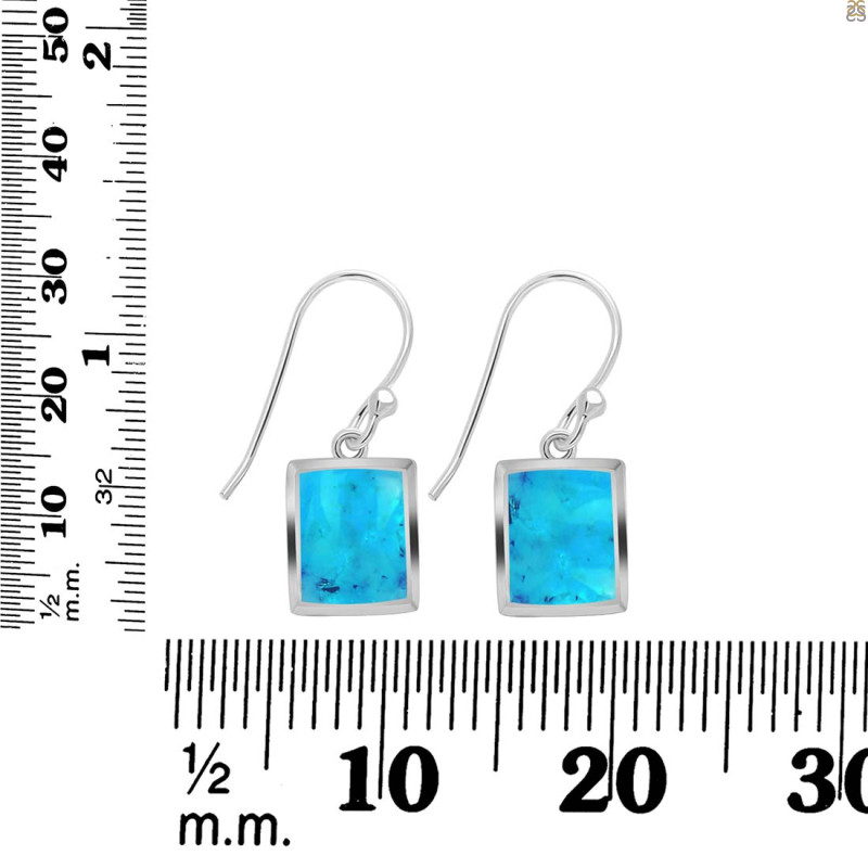 Turquoise Earring TRQ-RDE-1136.