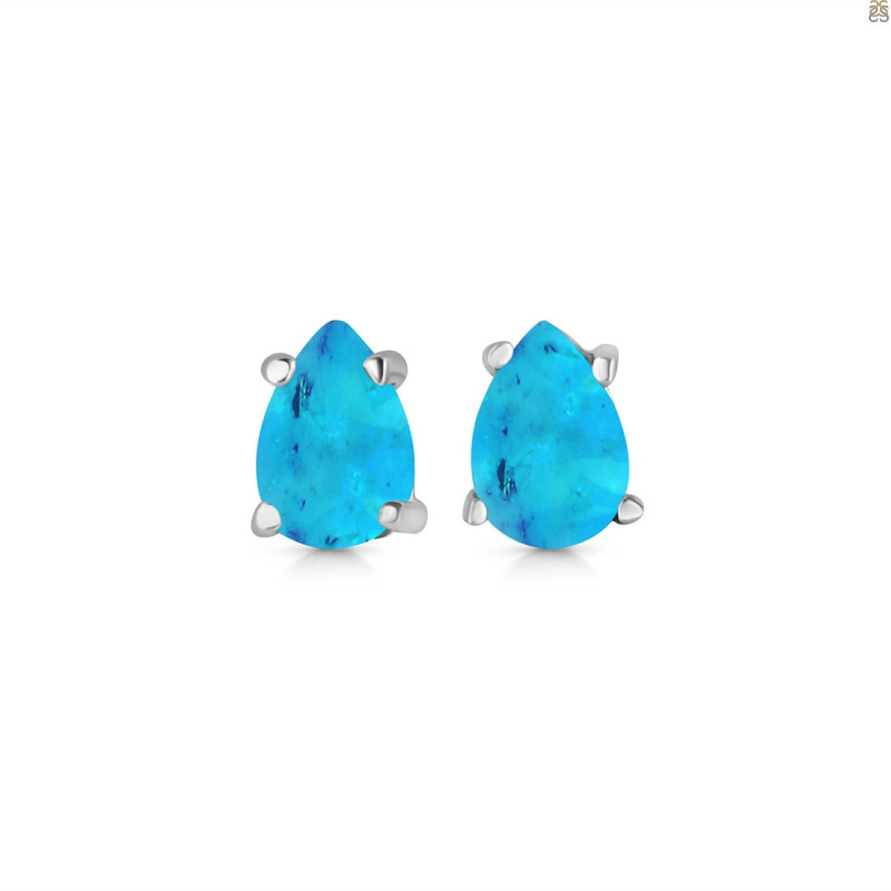 Turquoise Stud Earring TRQ-RDE-1141.